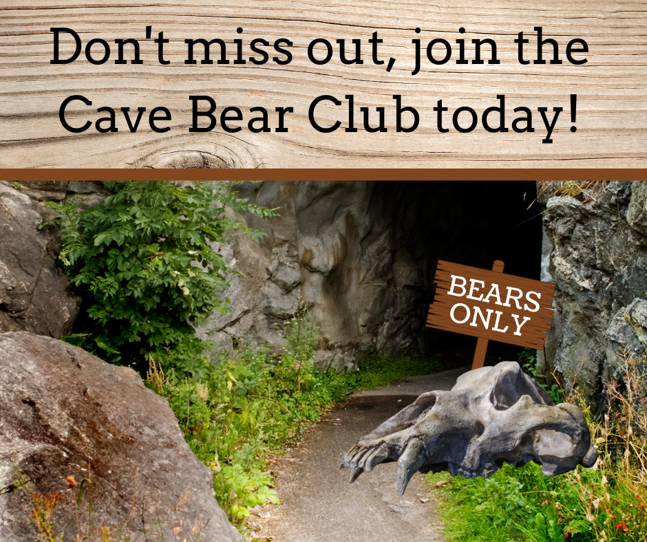 Cave Bear Ely Nevada